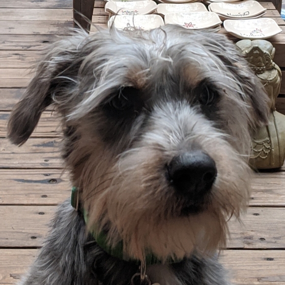 Meet your Posher, Kaylyn - Picture 1 of 1